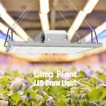 Supplémentaire Grow Light Deep Red de haute qualité